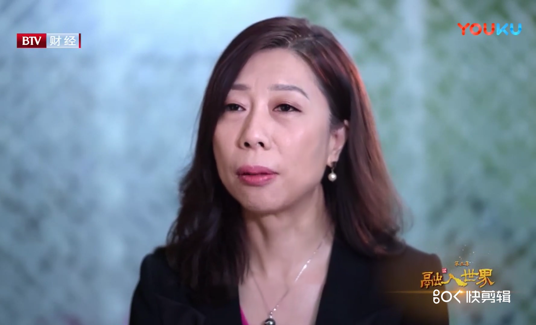 于總接受北京電視臺財經(jīng)頻道采訪：《開放北京與世界同行——北京外經(jīng)貿(mào)四十年》